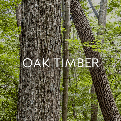 Oak wood products